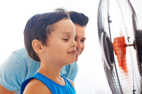 Dehumidifiers in Peoria, IL