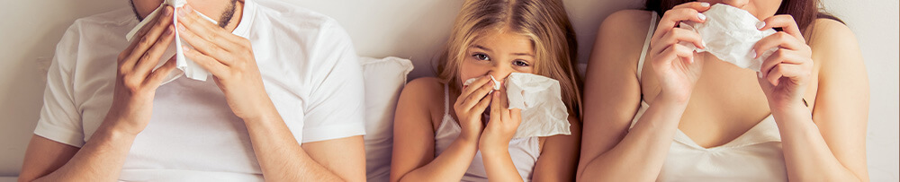 Ways to Prevent Sickness With Indoor Air Quality Products
